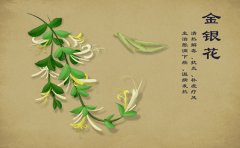 春季易上火 臨沂郯城區(qū)銀屑病醫(yī)院：飲食養(yǎng)生報(bào)你知