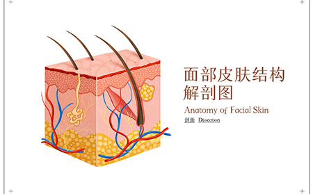 臨沂專業(yè)的治療銀屑病的醫(yī)院在啥地方