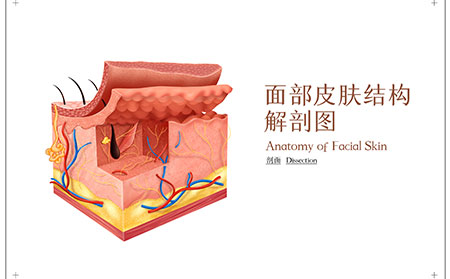 銀屑病的高發(fā)人群臨沂銀屑病醫(yī)院