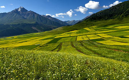 臨沂治紅皮病型牛皮癬醫(yī)院注意事項(xiàng)有哪些